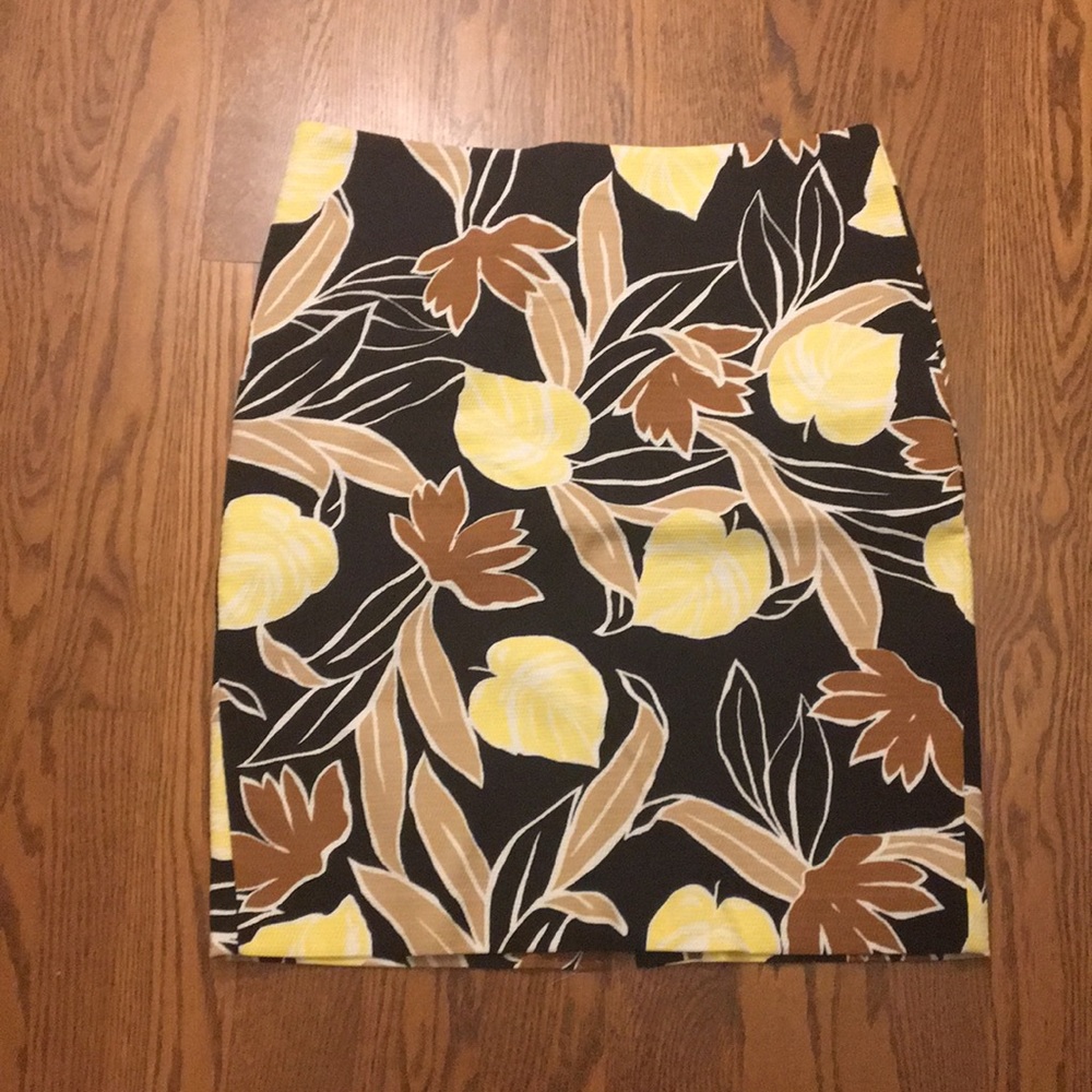 Ann Taylor Factory Skirt